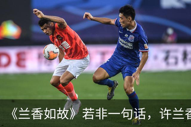 《兰香如故》若非一句话，许兰香始终不知，赵星棠为何痛恨林锦岐