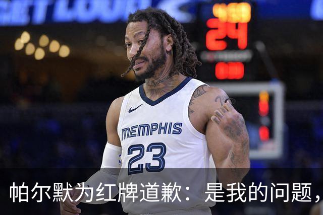 帕尔默为红牌道歉：是我的问题，会吸取教训